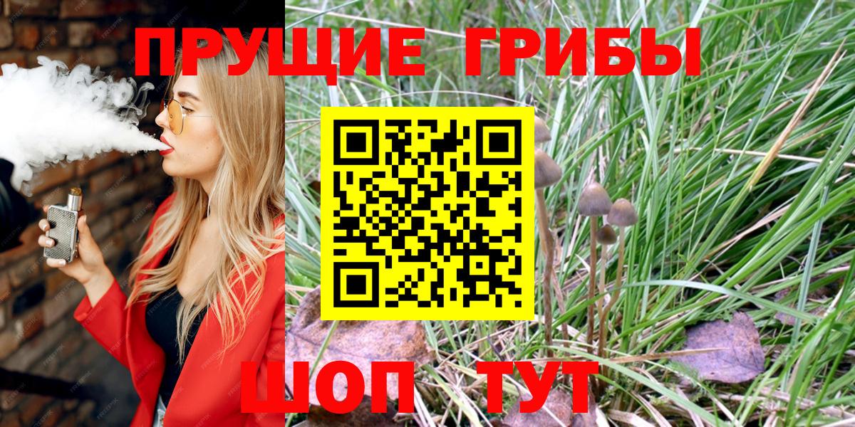 Псилоцибиновые грибы Cubensis  Вход с VPN  Краснокаменск 